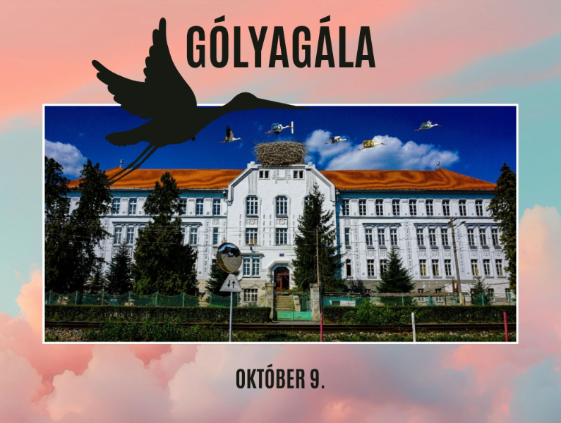Gólyagála